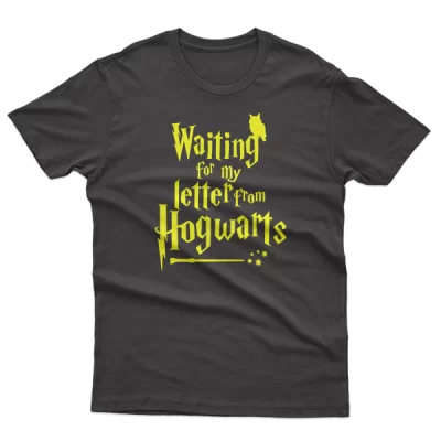Waiting For My Letter From Hogwarts, Harry Potter