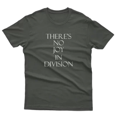 No Joy In Division, Joy Division Love Will Tear Us Apart